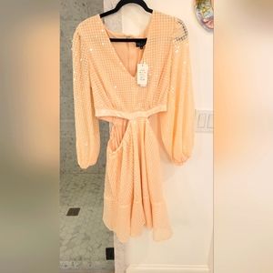14, Side Cut Out, Brand New, Peach Sequined Mini Dress